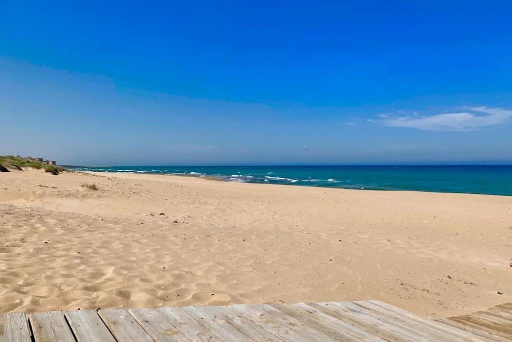 Azul Beach By La Mata Beach Torrevieja Dış mekan fotoğraf